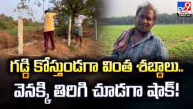 గడ్డి కోస్తుండగా అదే పనిగా శబ్దాలు.. వెనక్కి తిరిగి చూడగా షాక్‌