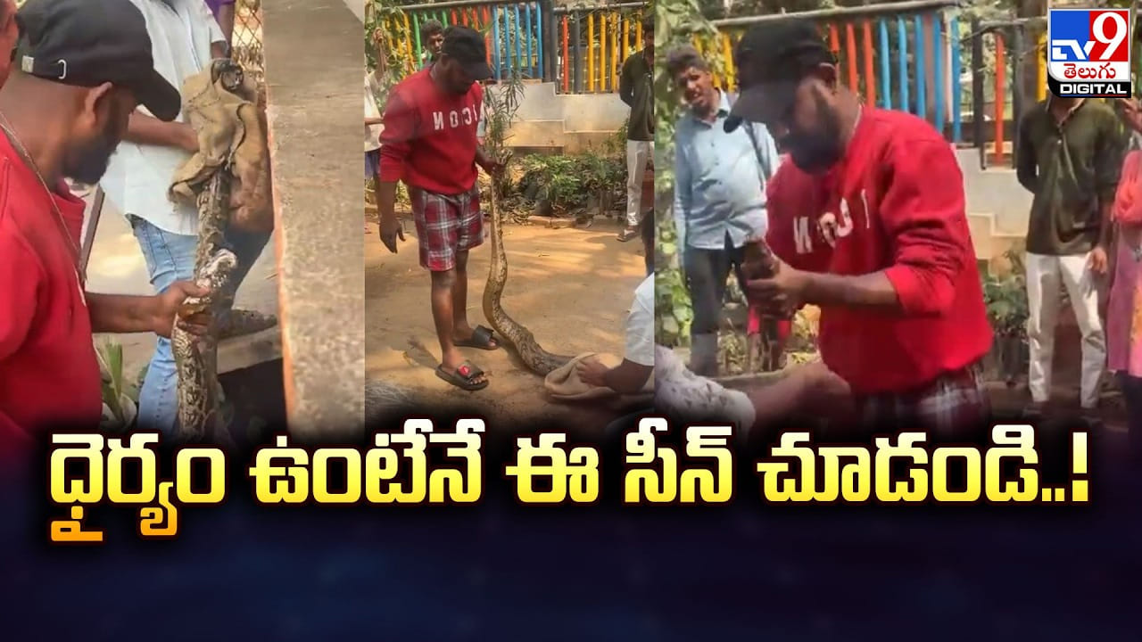 ధైర్యం ఉంటేనే ఈ సీన్‌ చూడండి.. ఒళ్ళు గగుర్పొడిచే వీడియో