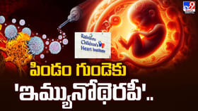 గర్భస్థ పిండ గుండెకు అద్భుత చికిత్స.. ప్రపంచ స్థాయి ఇమ్యునోథెరపీ