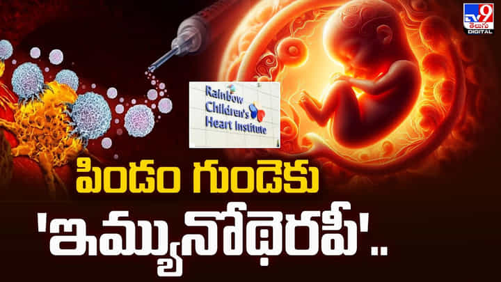 గర్భస్థ పిండ గుండెకు అద్భుత చికిత్స.. ప్రపంచ స్థాయి 'ఇమ్యునోథెరపీ'.. గర్భస్థ పిండ గుండెకు అద్భుత చికిత్స.. ప్రపంచ స్థాయి 'ఇమ్యునోథెరపీ'..