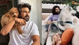 సెలబ్రిటీల ప్రేమ కొట్టేసిన మూగజీవాలు..ఒక్కో పెట్ ధర లక్షల్లో!