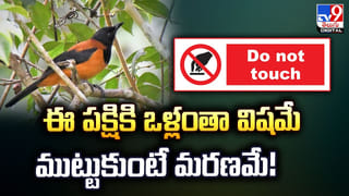 సిమ్‌ కార్డుల నుంచి బంగారం తీశాడు !! ఎలాగంటే