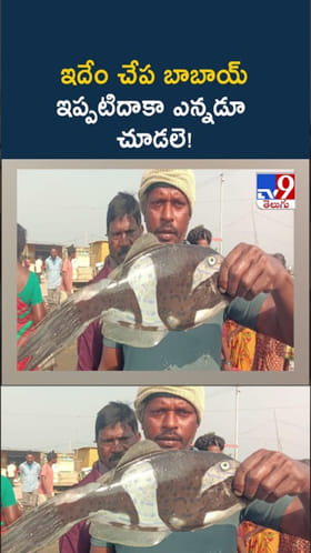 Rare Fish: ఇదేం చేప బాబాయ్‌.. ఇప్పటిదాకా ఎన్నడూ చూడలేదు..!