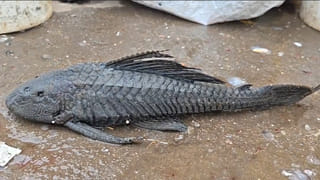 బస్టాండ్‌లో తేడాగా కనిపించిన ఇద్దరు యువకులు.. ఆపి చెక్ చేయగా..