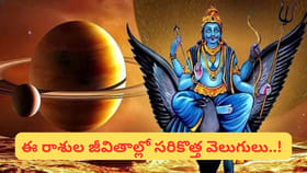 శని సంచారం.. ఐశ్వర్యం, అదృష్టం.. 5 నెలలపాటు ఈ రాశులకు తిరుగులేదు