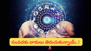 Swimming Pool Water: స్మిమ్మింగ్‌ పూల్‌ నీళ్లు నీలం రంగులోనే ఎందుకు కనిపిస్తాయి?