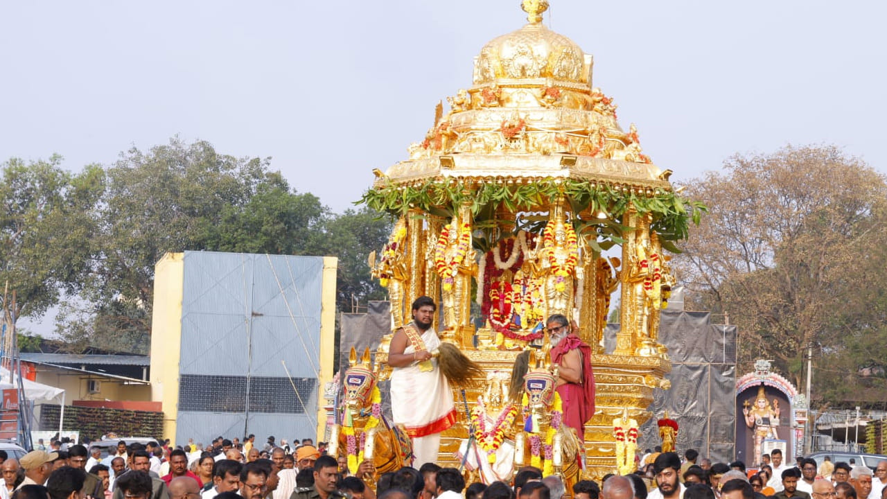 నంద్యాల జిల్లా శ్రీశైల మహా క్షేత్రంలో ఆరుద్రా నక్షత్రాన్ని పురస్కరించుకుని  శ్రీస్వామి అమ్మవార్లకు స్వర్ణ రథోత్సవం వైభవంగా  నిర్వహించారు. ఆరుద్రోత్సవంలో భాగంగా వేకువజామున శ్రీస్వామివారికి మహాన్యాసపూర్వక ఏకాదశ రుద్రాభిషేకం,అన్నాభిషేకం, విశేషపూజలు చేసి, అనంతరం స్వర్ణ రథోత్సవం జరిపించడం జరిగింది.