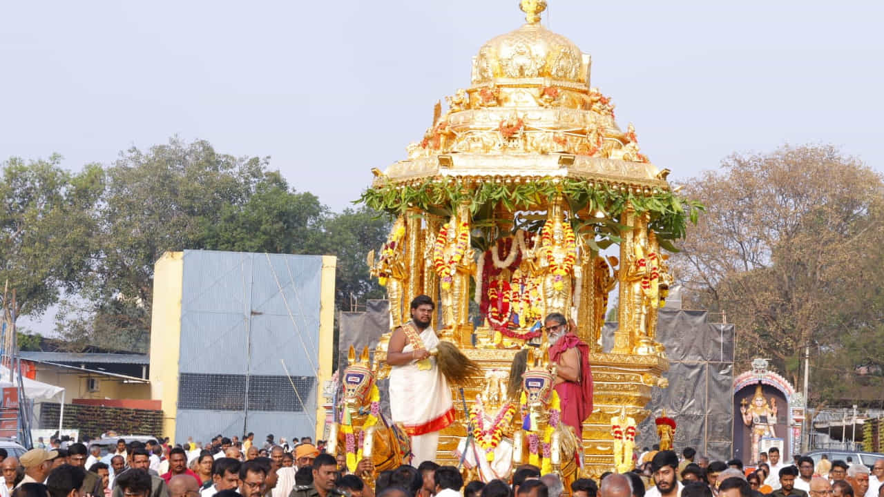 నంద్యాల జిల్లా శ్రీశైల మహా క్షేత్రంలో ఆరుద్రా నక్షత్రాన్ని పురస్కరించుకుని  శ్రీస్వామి అమ్మవార్లకు స్వర్ణ రథోత్సవం వైభవంగా  నిర్వహించారు. ఆరుద్రోత్సవంలో భాగంగా వేకువజామున శ్రీస్వామివారికి మహాన్యాసపూర్వక ఏకాదశ రుద్రాభిషేకం,అన్నాభిషేకం, విశేషపూజలు చేసి, అనంతరం స్వర్ణ రథోత్సవం జరిపించడం జరిగింది.
