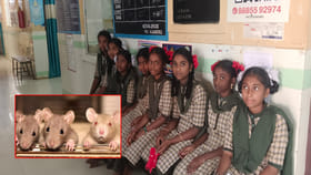 KGBVలో.. అర్ధరాత్రి హాస్టల్‌లో నిద్రిస్తున్న బాలికలపై ఎలుల దాడి!