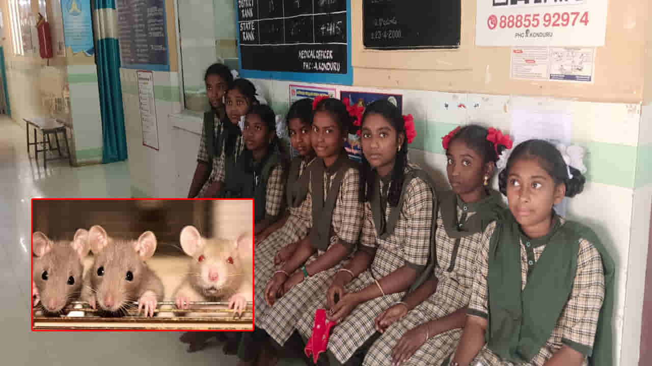 KGBVలో అమానుషం.. అర్ధరాత్రి హాస్టల్లో నిద్రిస్తున్న బాలికలపై ఎలుకల దాడి! ఆ తర్వాత..