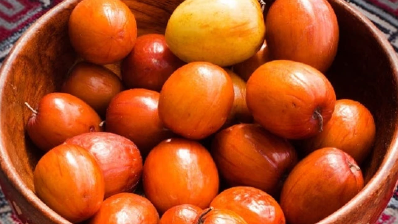 కావాల్సిన పదార్ధాలు: ఎండిన రేగి పండ్లు, ఒక టేబుల్ స్పూన్ కారం, చింతపండు, అర టీ స్పూన్ ఆవాల పొడి, 100 గ్రాముల  బెల్లం, చింతపండు రసం, కారం, అర టీ స్పూన్ ఆవాల పొడి, రుచి తగినంత ఉప్పు, 2 టేబుల్ స్పూన్స్ నూనె.
