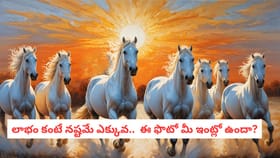 లాభం కంటే నష్టమే ఎక్కువ.. ఈ ఫొటో మీ ఇంట్లో ఉందా?