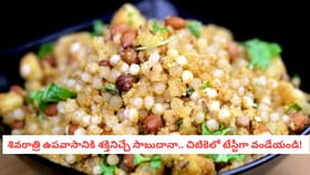 శివరాత్రి ఉపవాసానికి శక్తినిచ్చే సాబుదానా.. చిటికెలో టేస్టీగా..