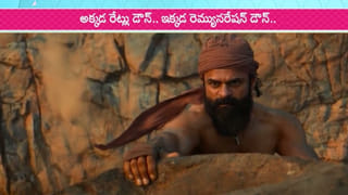 Andhra: ఏపీలో లేగ దూడలకు అందాలు పోటీలు