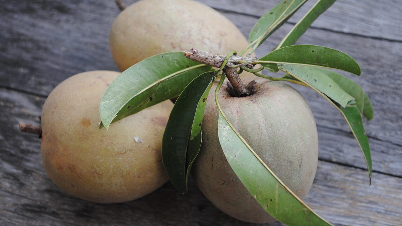 కళ్ల సమస్యలతో బాధ పడే వారికీ ఇది ఎంతో మేలు చేస్తుంది. సపోటాలో ఉండే విట‌మిన్ ఇ చ‌ర్మ సమస్యలకు చెక్ పెడుతుంది. 
అంతే, విట‌మిన్ ఎ కంటిచూపును మెరుగుపరుస్తుంది. 

