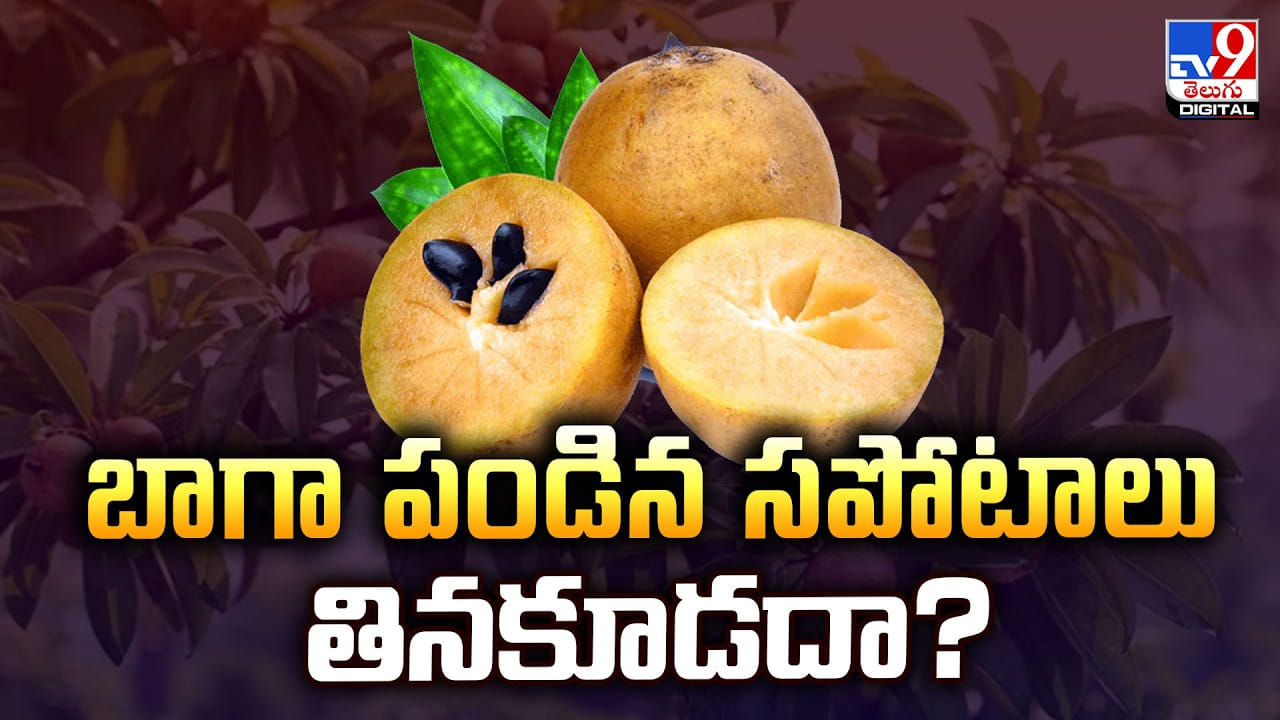 Sapota: బాగా పండిన సపోటాలు తింటే ఏమవుతుందో తెలుసా ?? ఈ వీడియో తప్పక చూడండి