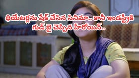 రూ.15 కోట్లతో తీస్తే రూ.905 కోట్ల కలెక్షన్స్..