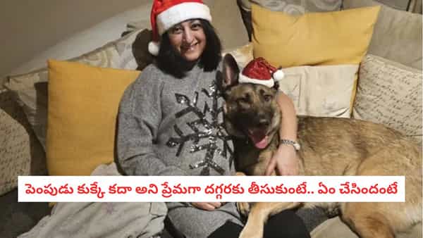 Sepsis Awareness: భగవంతుడా.. పెంపుడు కుక్క చేసిన పనికి ఏకంగా 4 అవయవాలు కోల్పోయిన మహిళ..
