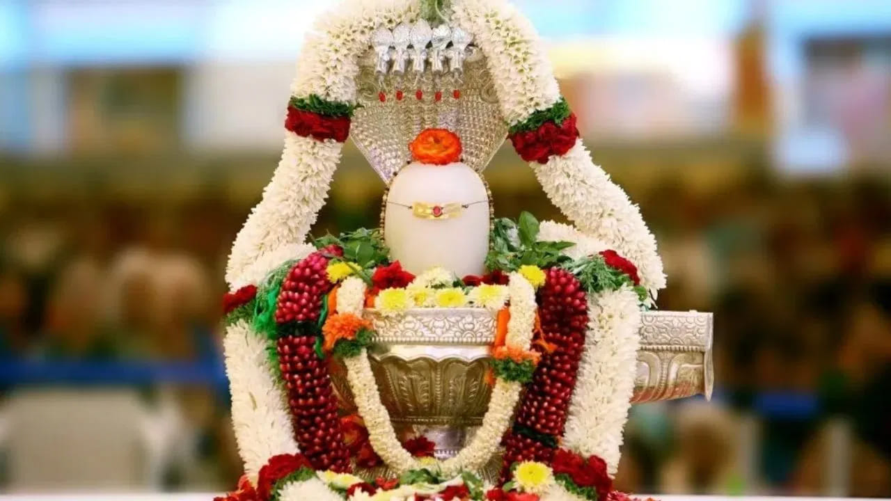 అదే విధంగా శివాలయంలో పూజ చేసినప్పుడు, పార్వతీ దేవికి సమర్పించిన పూలు, గాజులు, సింధూరం  తీసుకొచ్చుకొని, మీరు ధరించడం వలన  అదృష్టం కలిసి వస్తుందంట. వైవాహిక జీవితంలోని సమస్యలు తొలిగిపోయి, దంపతుల మధ్య ప్రేమ పెరుగుతుందంట. ఆ జంటపై అమ్మవారి ఆశీస్సులు ఉంటాయంట.