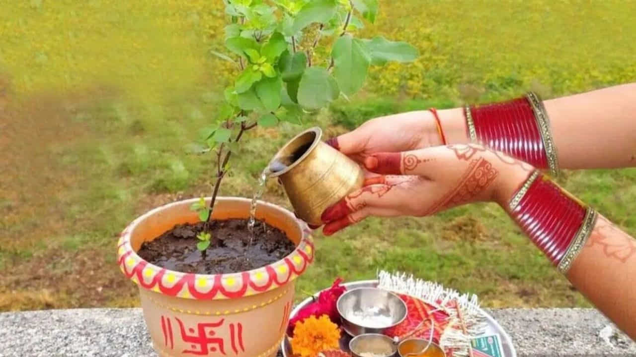 తులసి ఆకులు : తులసికి హిందూ మతంలో ప్రత్యేక స్థానం ఉంటుంది. తులసి లక్ష్మీ దేవి స్వరూపంగా భావించి పూజలు చేస్తారు. కాని దీనిని శివ పూజకు ఉపయోగించకూడదు. తులసి విష్ణువుకు ప్రీతికరమైనది అందుకే శివ పూజలో దీనిని ఉపయోగించరు. అందువలన శివరాత్రి సమయంలో శివలింగానికి తులసి దళాలను సమర్పించకూడదు.