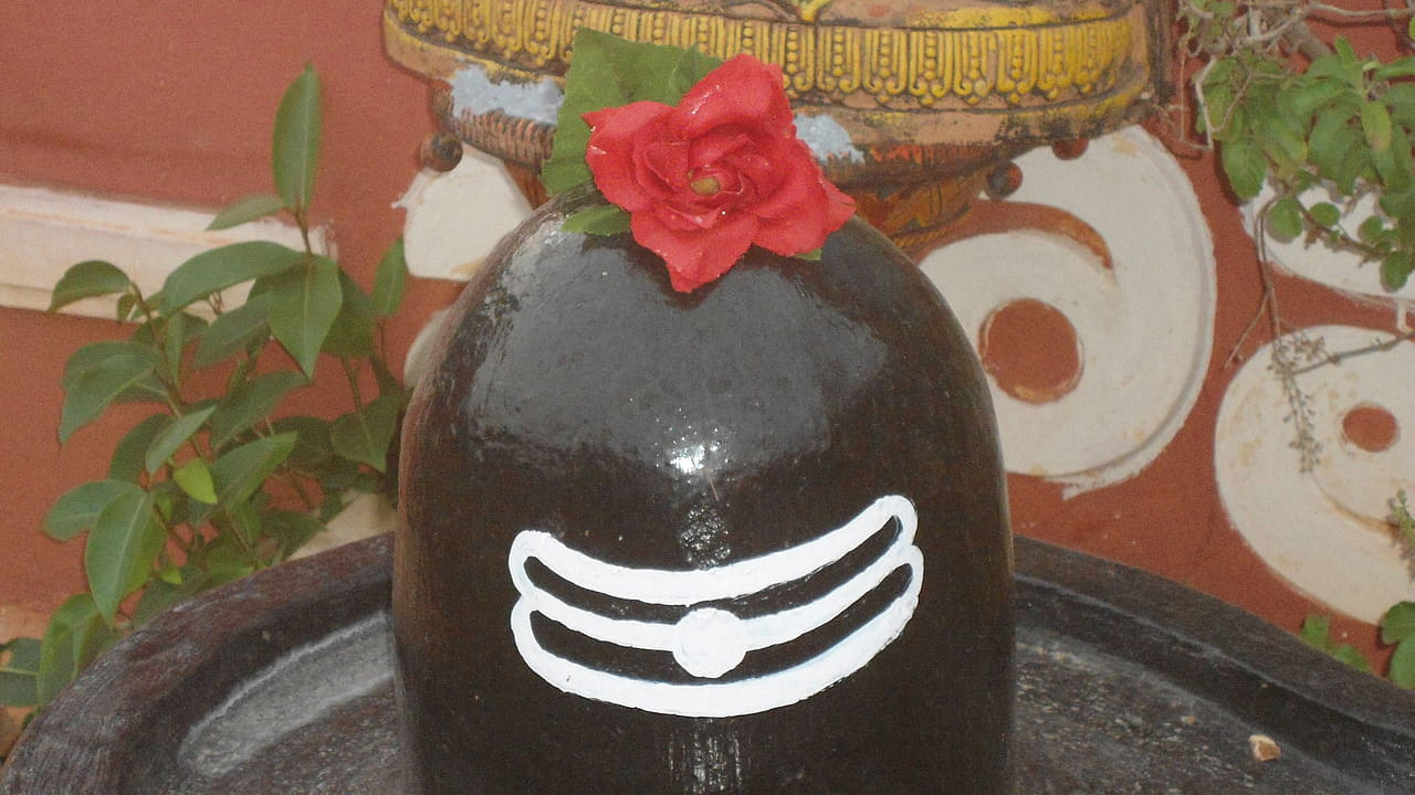 శివలింగపై పెట్టిన ప్రసాదం తప్ప, శివుడి ఫొటో ముందు, శివుడి విగ్రహం ముందు పెట్టిన నైవేద్యాన్ని ప్రసాదంగా తీసుకోవచ్చునంట. నోట్ : పై సమాచారం కేవలం ఇంటర్నెట్ ఆధారంగా మాత్రమే ఇవ్వడం జరిగింది. టీవీ9 తెలుగు దీనిని ధృవీకరించలేదు.