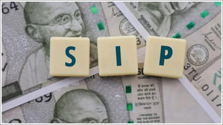 Mahogany:  పచ్చ బంగారం గురించి తెలుసా? రైతులకు కోట్ల ఆదాయం ఇచ్చే కల్పవృక్షం!