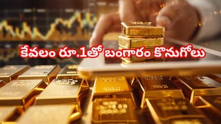 Brown Paper Bags: షాపింగ్ బ్యాగులు ఎప్పుడూ గోధుమ రంగులోనే ఎందుకు ఉంటాయో తెలుసా?