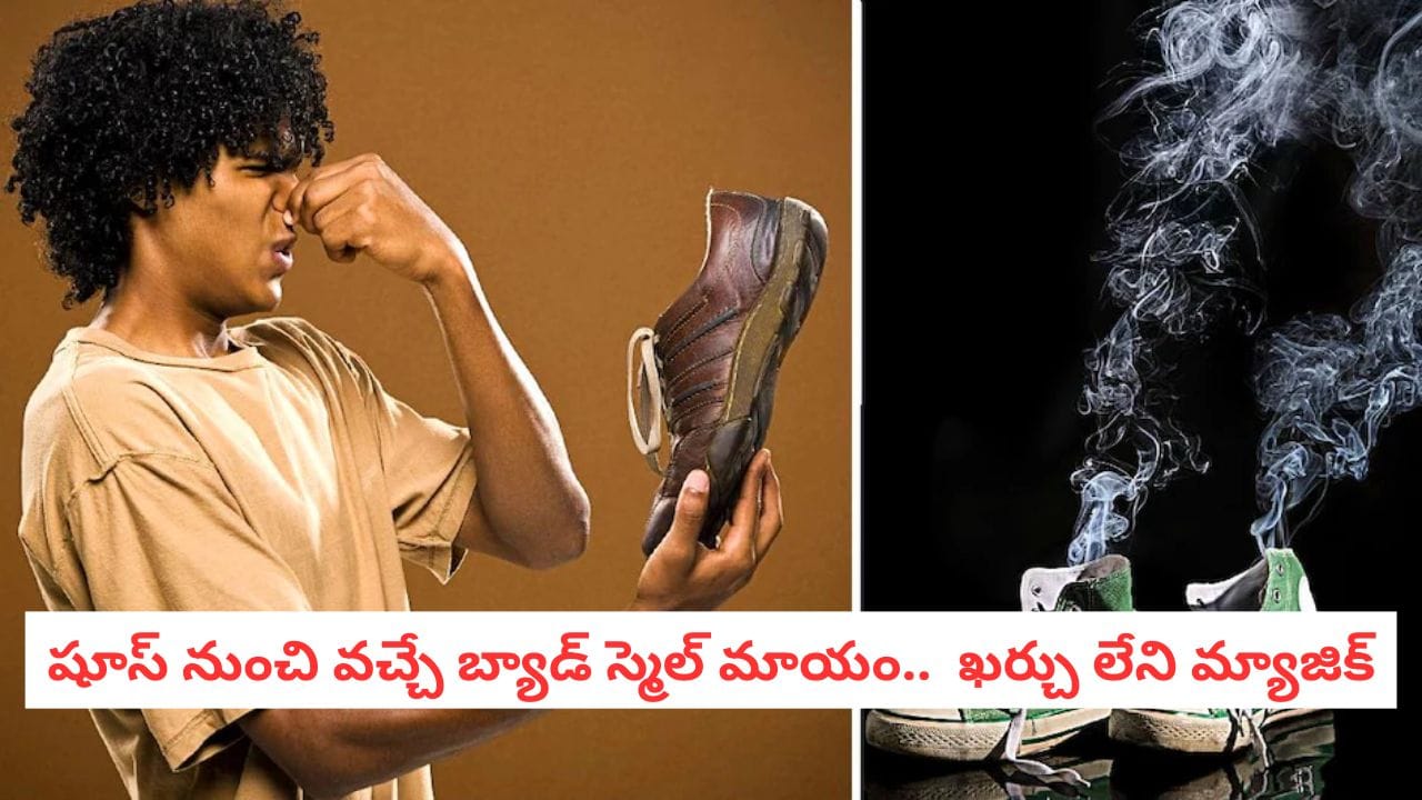 Shoe Hacks: షూ విప్పగానే కంపు కొడుతోందా?.. ఆ భయంకరమైన వాసనను తరిమికొట్టే బ్రహ్మాస్త్రం ఇదే! Shoe Hacks: షూ విప్పగానే కంపు కొడుతోందా?.. ఆ భయంకరమైన వాసనను తరిమికొట్టే బ్రహ్మాస్త్రం ఇదే!
