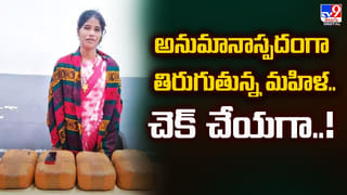 ఇల వైకుంఠాన్ని తలిపిస్తున్న శ్రీరామనగరం.. వైభవంగా శ్రీరామానుజ 108 దివ్య దేశాల నాల్గొవ బ్రహ్మోత్సావాలు