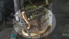 ఓం నమ: శివాయ.. శివపార్వతులు కల్యాణం జరుగుతుండగా..