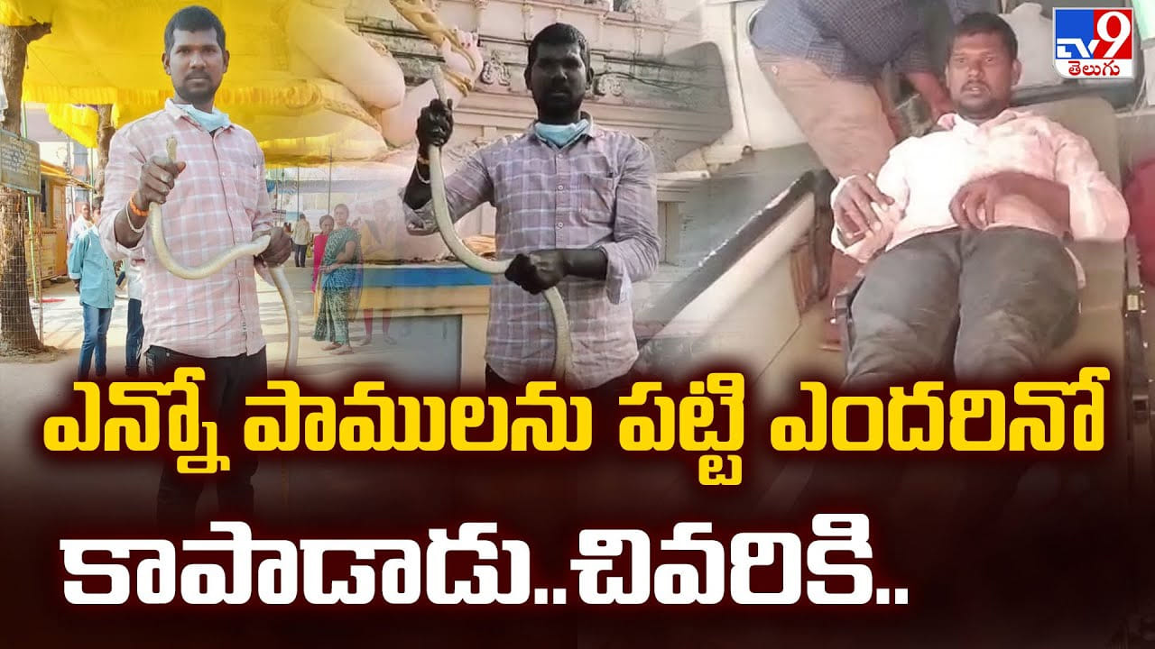 ఎన్నో పాములను పట్టి ఎందరినో కాపాడాడు.. చివరికి..