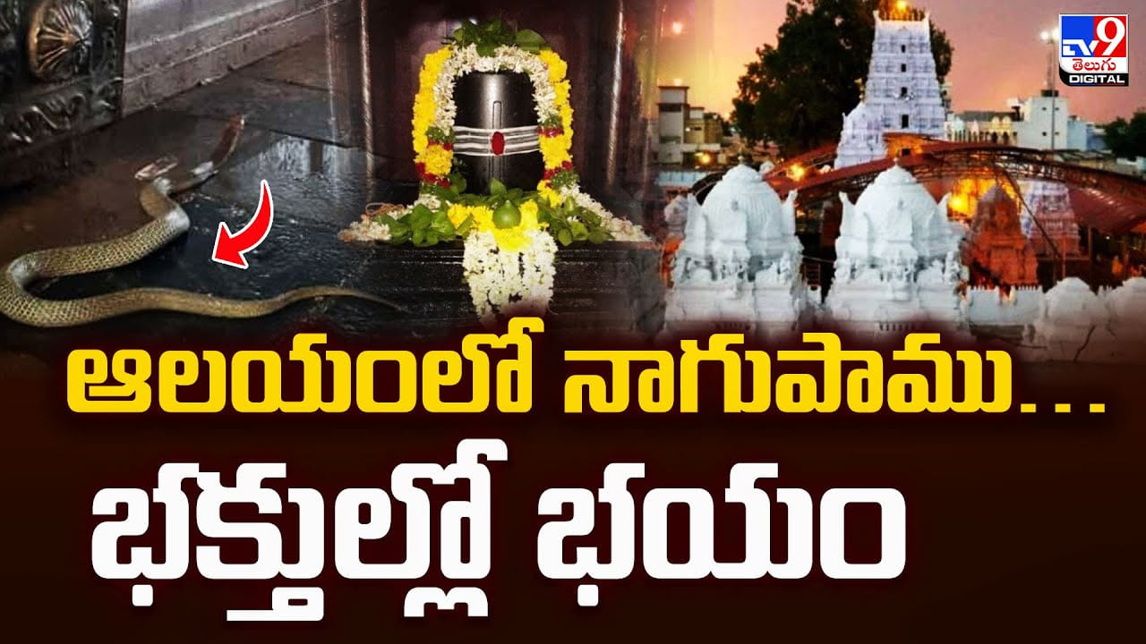ఆలయంలో నాగుపాము.. భక్తుల్లో భయం