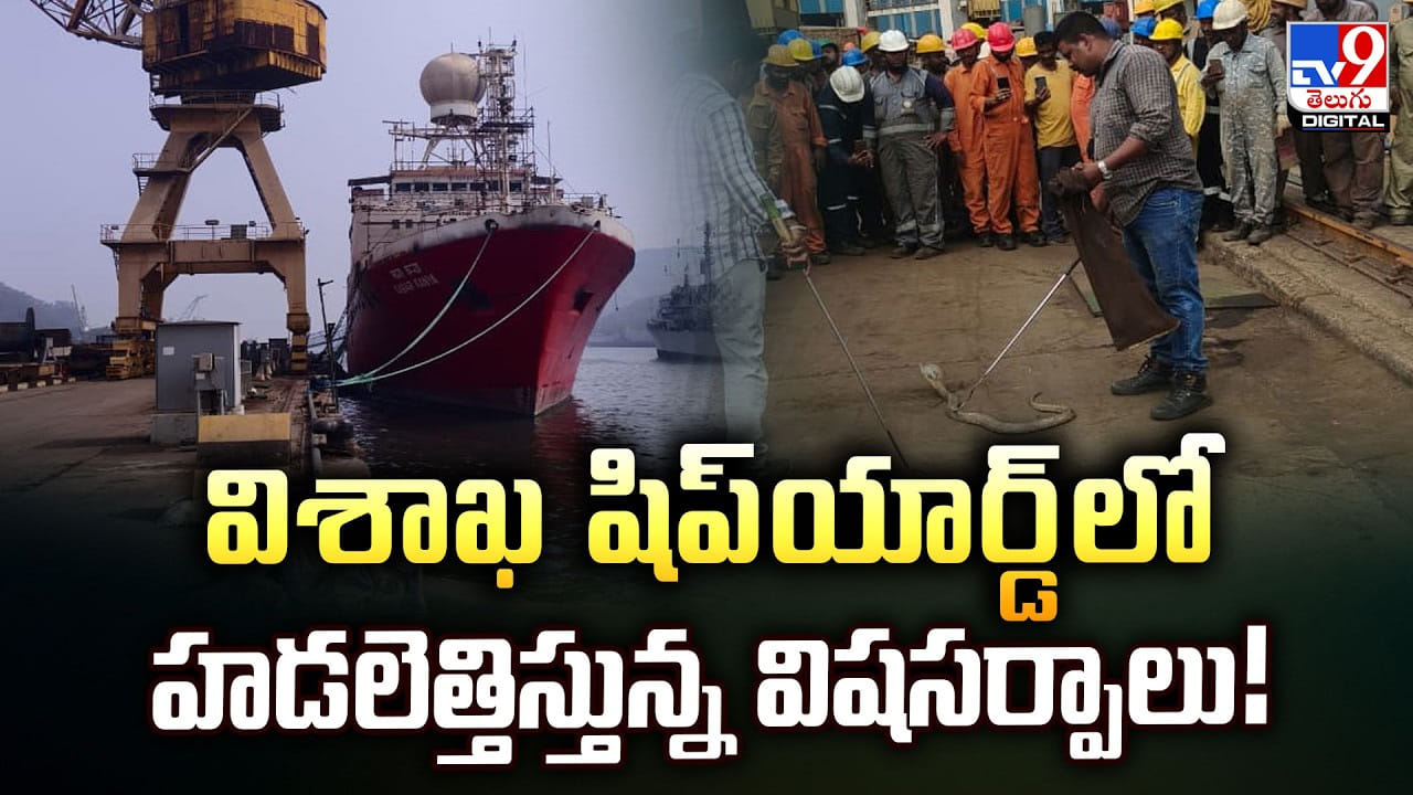 విశాఖ షిప్‌యార్డ్‌లో.. హడలెత్తిస్తున్న విషసర్పాలు