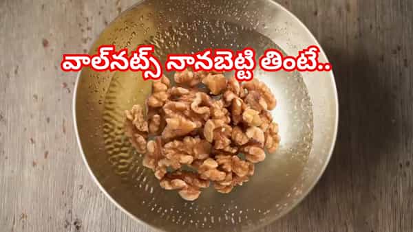 నానబెట్టిన బాదంపప్పుకు బదులుగా.. 15 రోజులు వీటిని ఖాళీ కడుపుతో తినండి..మ్యాజిక్ చూస్తారు!