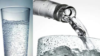 Raw Tomatoes: పచ్చి టమోటాలు తింటే శరీరానికి ఎన్ని లాభాలో తెలుసా? ఆ పోషకాల గురించి వింటే షాక్ అవుతారు!