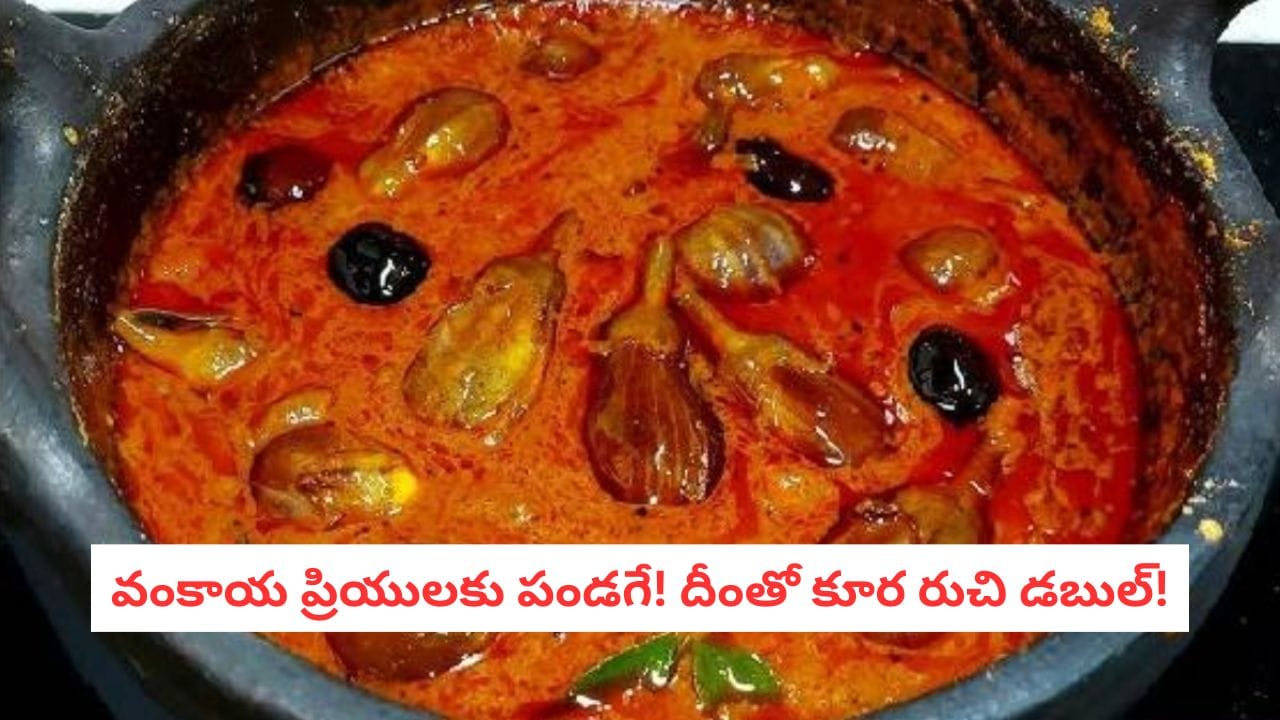 Brinjal Curry Recipe: అన్నం మొత్తం ఈ ఒక్క కూరతోనే తినేస్తారు! వంకాయ కారపు పులుసు స్పెషల్ రెసిపీ