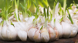 పూజలో దీపం కొండెక్కిందా.. దీపారాధన మళ్ళీ చేయొచ్చా? ఇది శుభమా లేక చెడుకి సంకేతమా