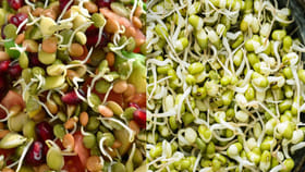 మీ ఫుడ్ డైట్ లో మొల‌క‌ల‌ను చేర్చితే.. ఆ సమస్యలన్నీ మాయం!