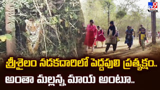 Andhra: హలో సారూ.. మా జీవితాల్లో చీకట్లు తొలగేదెన్నడు.. రాత్రిపూట కాగడాలతోనే..