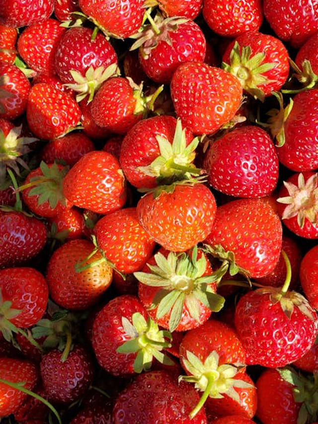 వామ్మో.. అక్కడ రోజూ స్ట్రాబెర్రీల వర్షం కురుస్తుందా? గుట్టలు గుట్టలు ఉన్నాయేంటి?