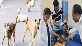 Telangana: 50 మేకలను నోటితో కొరికి బలి.. భీమన్న జాతరలో జంతు బలుల కలకలం..