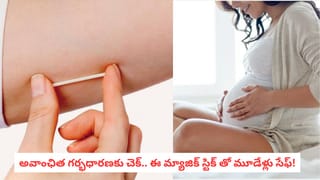 Rose Day: వాలెంటైన్స్ వీక్ రోజ్ డే తోనే ఎందుకు స్టార్ట్ అవుతుంది.. ఏ కలర్ గులాబీ ఎవరికి ఇవ్వాలో తెలుసా..?