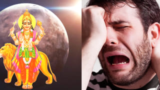 సిరిసంపదల కోసం పెంచే మొక్క…ఈ జాగ్రత్తలు తప్పనిసరి!