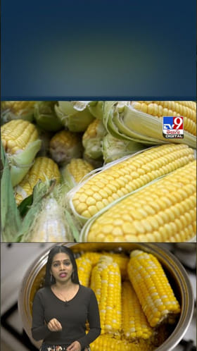 Sweetcorn: షుగర్‌ రోగులు స్వీట్‌కార్న్‌ తింటే.. జరిగేది ఇదే..?