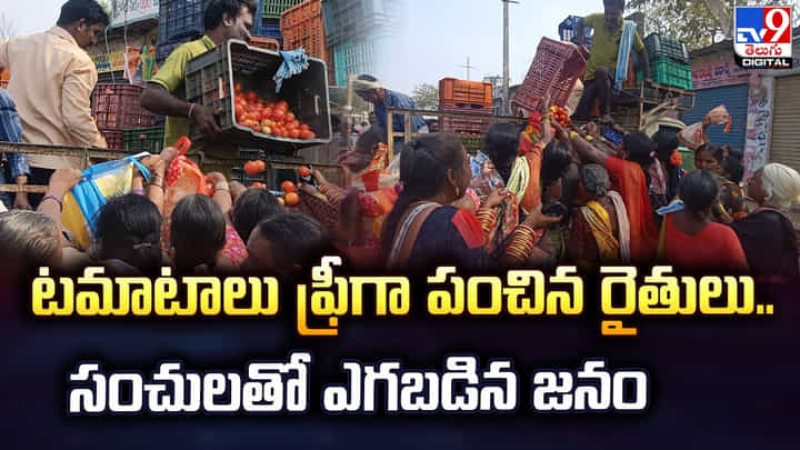 ఫ్రీ ఫ్రీ.. అక్కడ టమాటాలు ఉచితం.. ఎగబడిన జనం ఫ్రీ ఫ్రీ.. అక్కడ టమాటాలు ఉచితం.. ఎగబడిన జనం