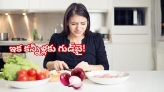 చికెన్, మటన్ కన్నా పవర్‌ఫుల్.. చేప తల తింటే ఇన్ని లాభాలా..?