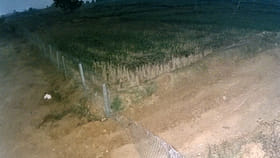 పొద్దుపోయి ఇంటికొచ్చిన రైతు.. పంటచేనులోని సీసీ కెమెరా చెక్ చేయగా.