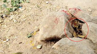 Telangana: గర్ల్స్ హాస్టల్ దగ్గరలో ఏవో నల్లటి ఆకారాలు.. ఏంటా అని వెళ్లి చూడగా