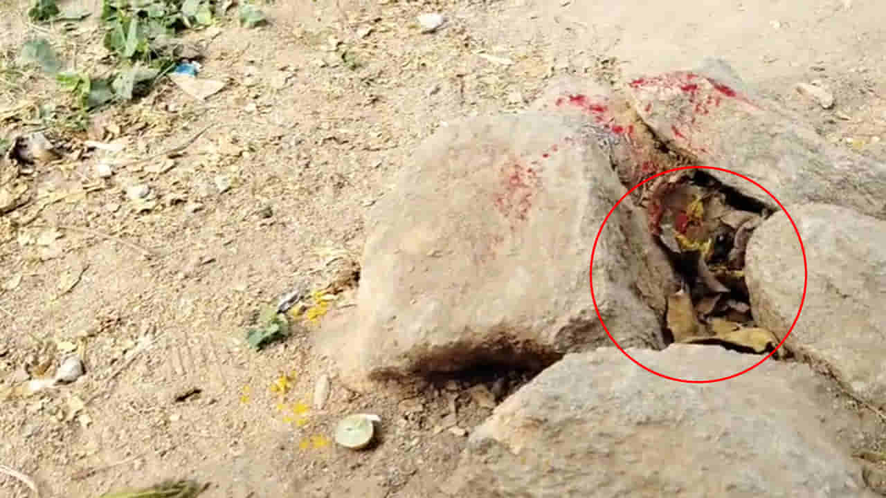 Telangana: గర్ల్స్ హాస్టల్ దగ్గరలో ఏవో నల్లటి ఆకారాలు.. ఏంటా అని వెళ్లి చూడగా