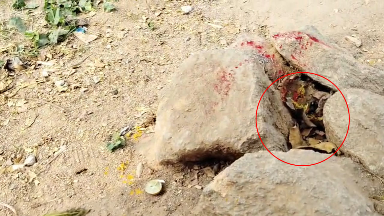 Telangana: గర్ల్స్ హాస్టల్ దగ్గరలో ఏవో నల్లటి ఆకారాలు.. ఏంటా అని వెళ్లి చూడగా